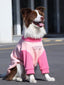A brown and white Border Collie dog sitting outdoors wearing a pink and light pink dog sweater with a text graphic.