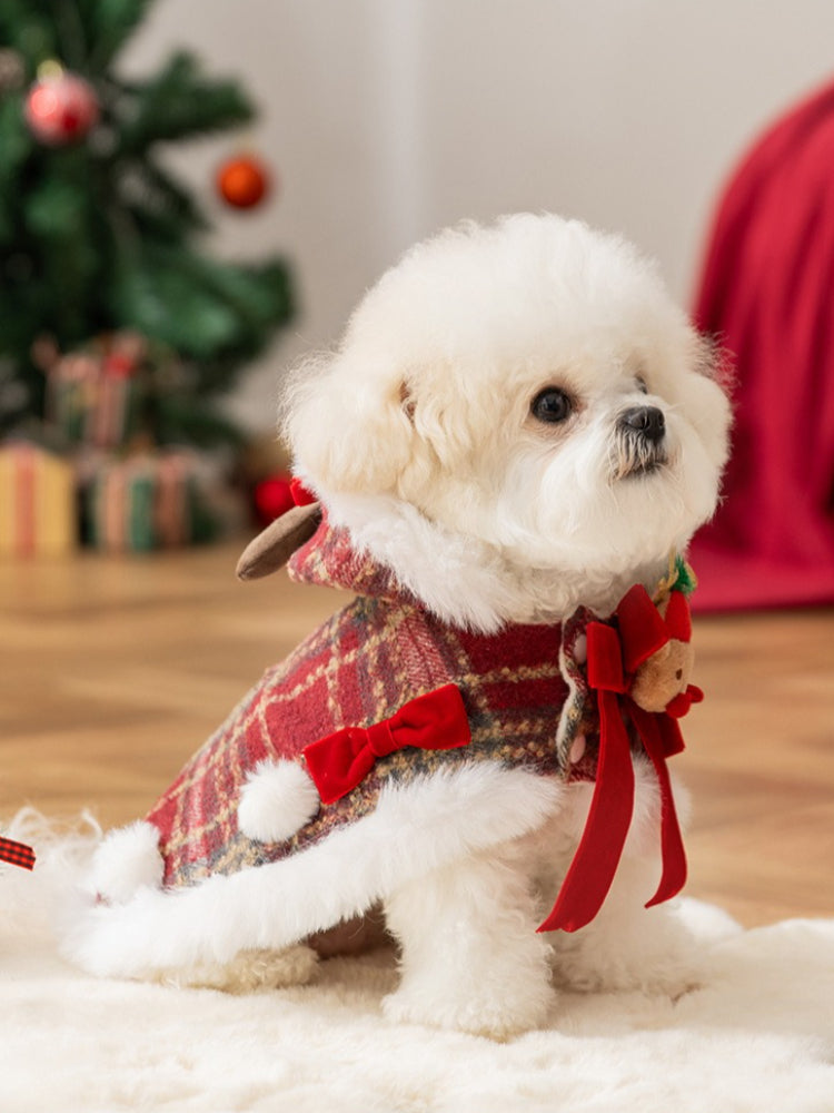 A white bichon frise dog sitting in a red plaid dog coat with faux fur trim and reindeer details.