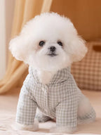 Fluffy white dog wearing a light green gingham dog coat with a hood.