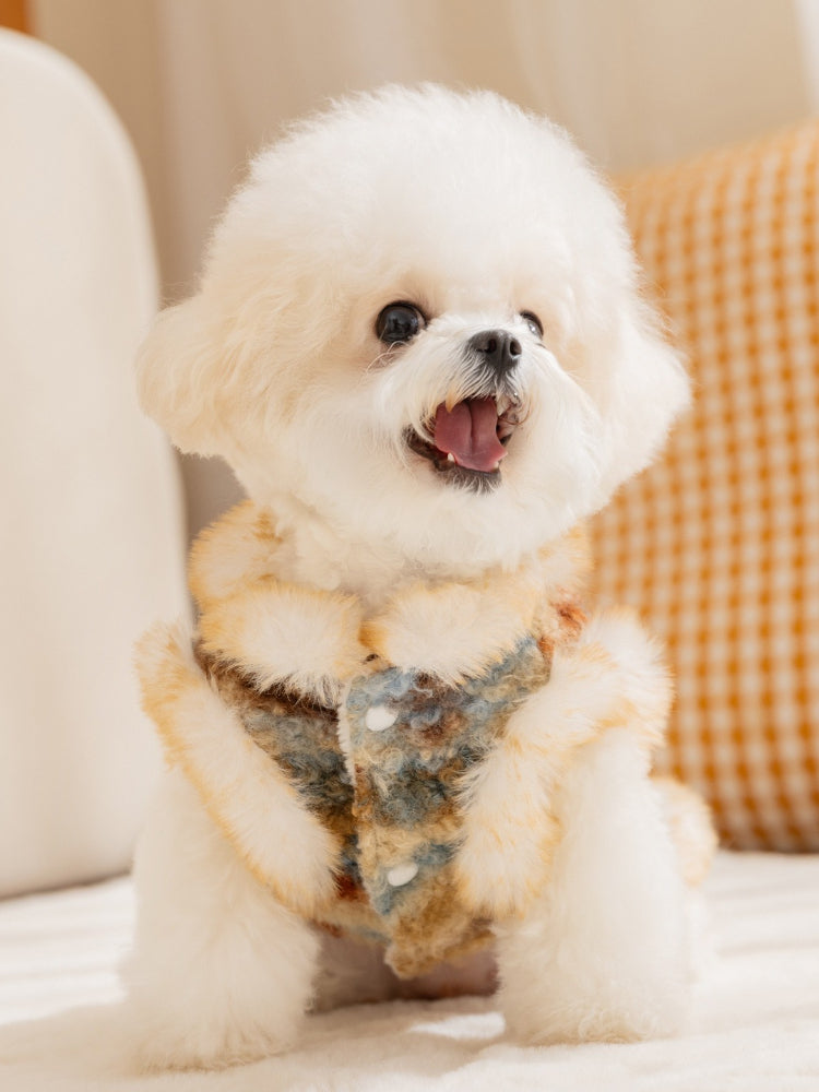A fluffy white Bichon Frise dog wearing a stylish tweed vest with faux fur trim, sitting on a couch.
