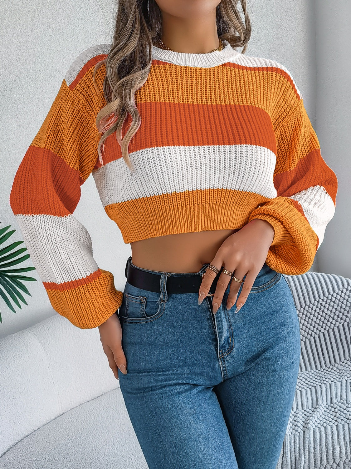 Sunset Boulevard Color Block Knit Crop Sweater