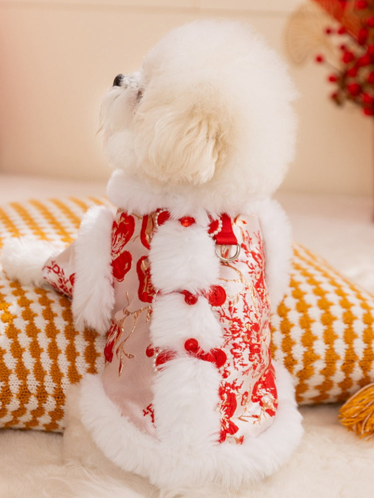 Back view of a white poodle dog wearing a red and white festive coat with embroidered floral patterns, sitting on a yellow and white striped cushion.