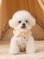 White Cartoon Quilted Pet Vest with Gingham Collar & Pocket