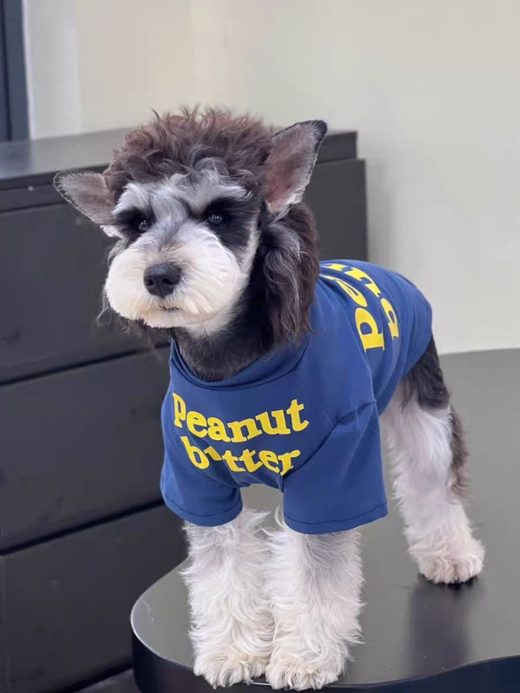 Close-up of a dog wearing a pet t-shirt