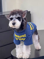 Close-up of a dog wearing a pet t-shirt
