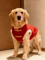 Golden Retriever dog wearing a red Chinese style vest with faux fur trim and gold frog buttons, standing and looking forward.