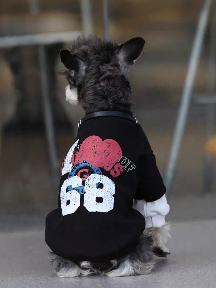 Back view of a Mini Schnauzer dog wearing a black graphic print sweater