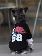 Back view of a Mini Schnauzer dog wearing a black graphic print sweater