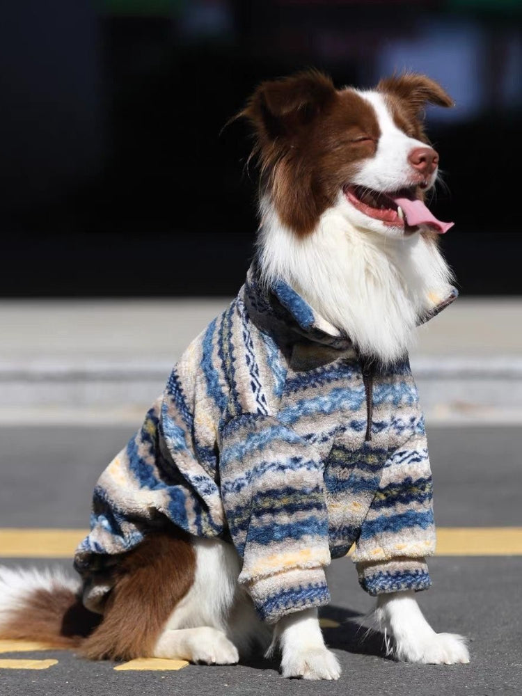 A brown and white Border Collie dog wearing a blue, yellow, and white striped fleece hoodie sits on asphalt with its tongue out.