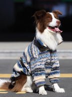 A brown and white Border Collie dog wearing a blue, yellow, and white striped fleece hoodie sits on asphalt with its tongue out.