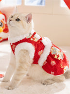 A light-colored cat sitting upright and looking slightly upwards, wearing a red, festive dress with dragon patterns and white faux fur trim.