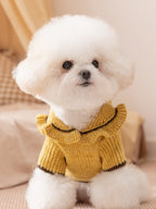 A white bichon frise dog wearing a yellow knitted sweater with a ruffled collar.