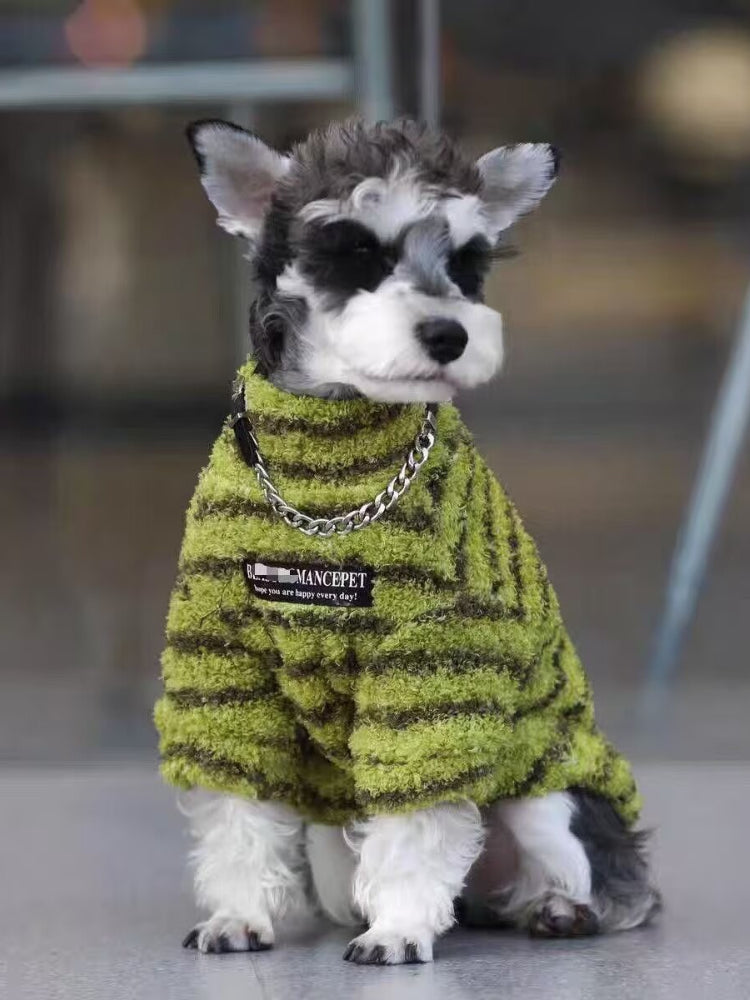 Miniature schnauzer puppy wearing a green and brown striped terry cloth dog sweater with a chain collar detail, sitting down.