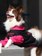 A brown and white Border Collie dog wearing a black and pink hooded sweatshirt, with its front paws raised.
