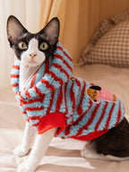 Sphynx cat wearing a blue and red striped sherpa fleece hoodie, looking forward.
