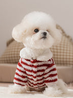 A white Bichon Frise dog wearing a red and white striped fleece hoodie.
