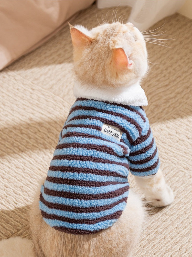 The back of a cream-colored cat wearing a blue and brown striped fleece pet sweater with a white faux shearling collar. A small label is visible on the sweater.