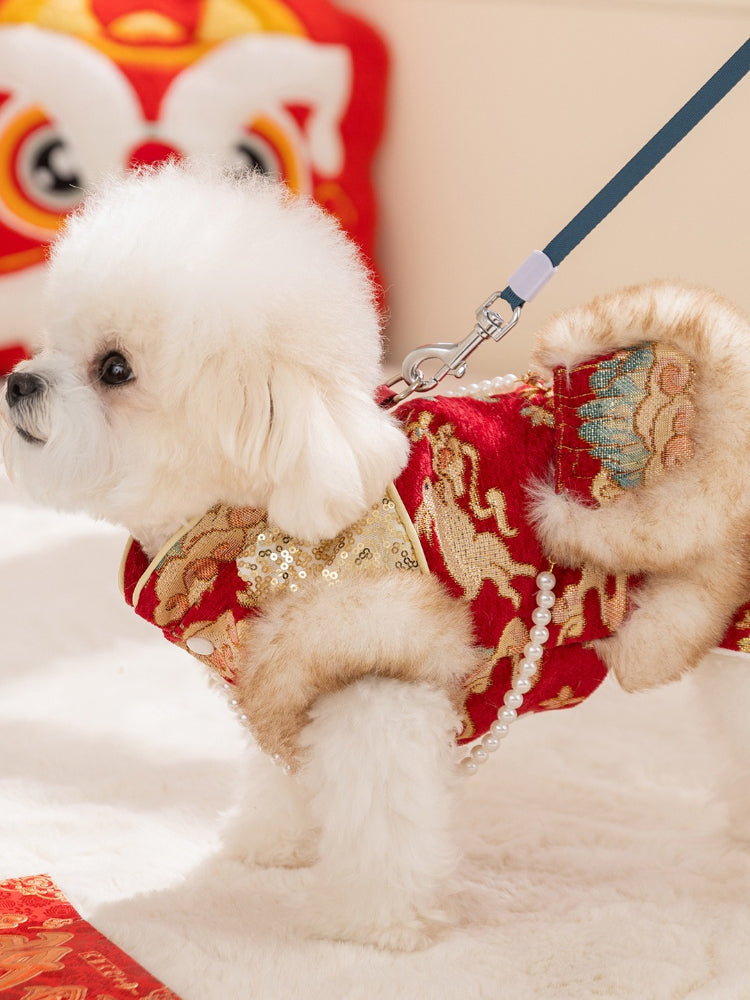 A small white dog wearing a red and gold brocade coat with faux fur trim and pearl accents, standing and looking to the side.