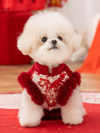 Front view of a white Bichon Frise dog wearing a red and white floral embroidered vest with red faux fur trim.