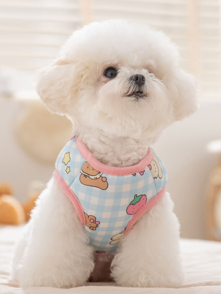 White poodle wearing a light blue gingham dog vest with cartoon bears and strawberries
