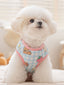 White poodle wearing a light blue gingham dog vest with cartoon bears and strawberries