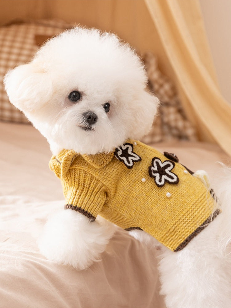 A white bichon frise dog sitting down, wearing a yellow knitted sweater with floral appliques.