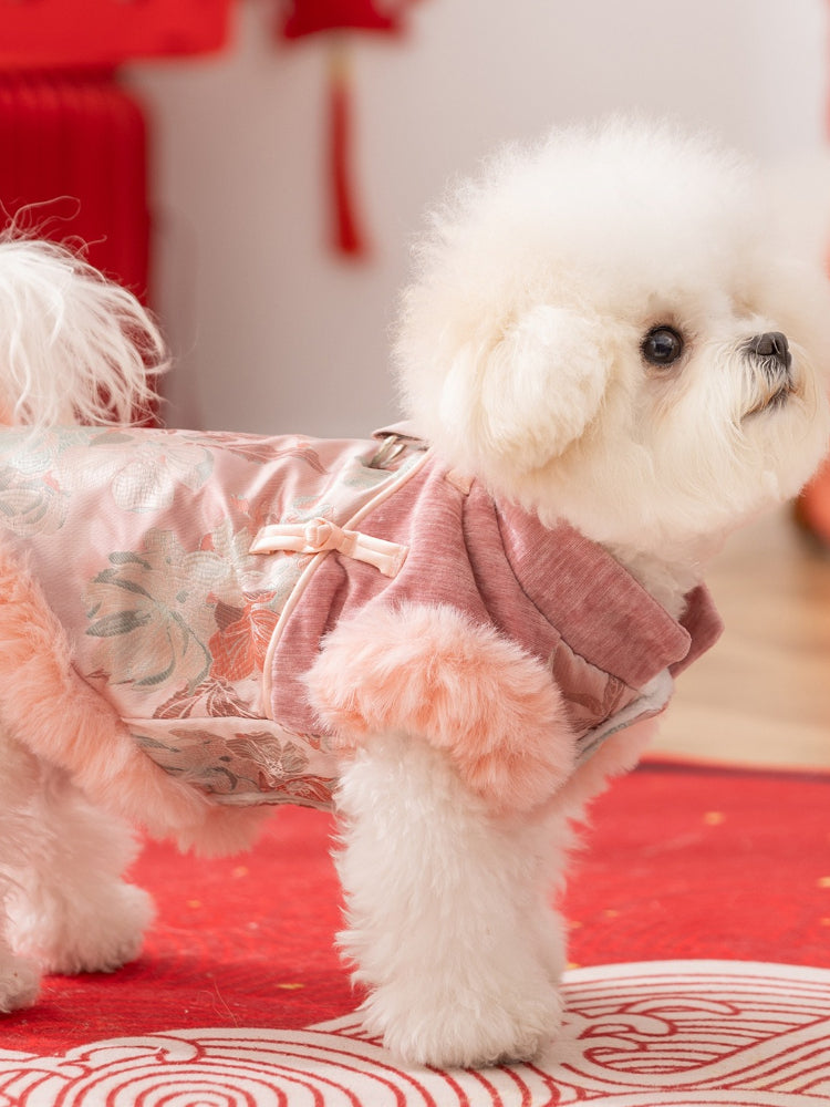 Side view of a white Bichon Frise dog wearing a pink floral embroidered vest with faux fur trim, standing.