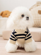 White poodle wearing a cream and navy striped dog sweater with embroidered bear appliques on the back