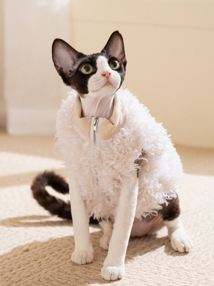Black and white cat wearing a white sherpa fleece vest with a zipper closure and a tan ribbed collar.