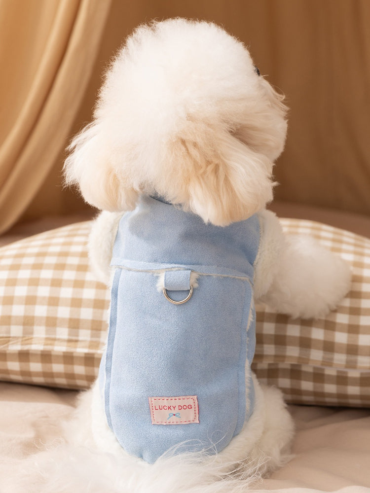 The back of a white Bichon Frise dog wearing a light blue dog vest with white faux fur trim, showing a leash attachment ring and a pink 'Lucky Dog' tag.