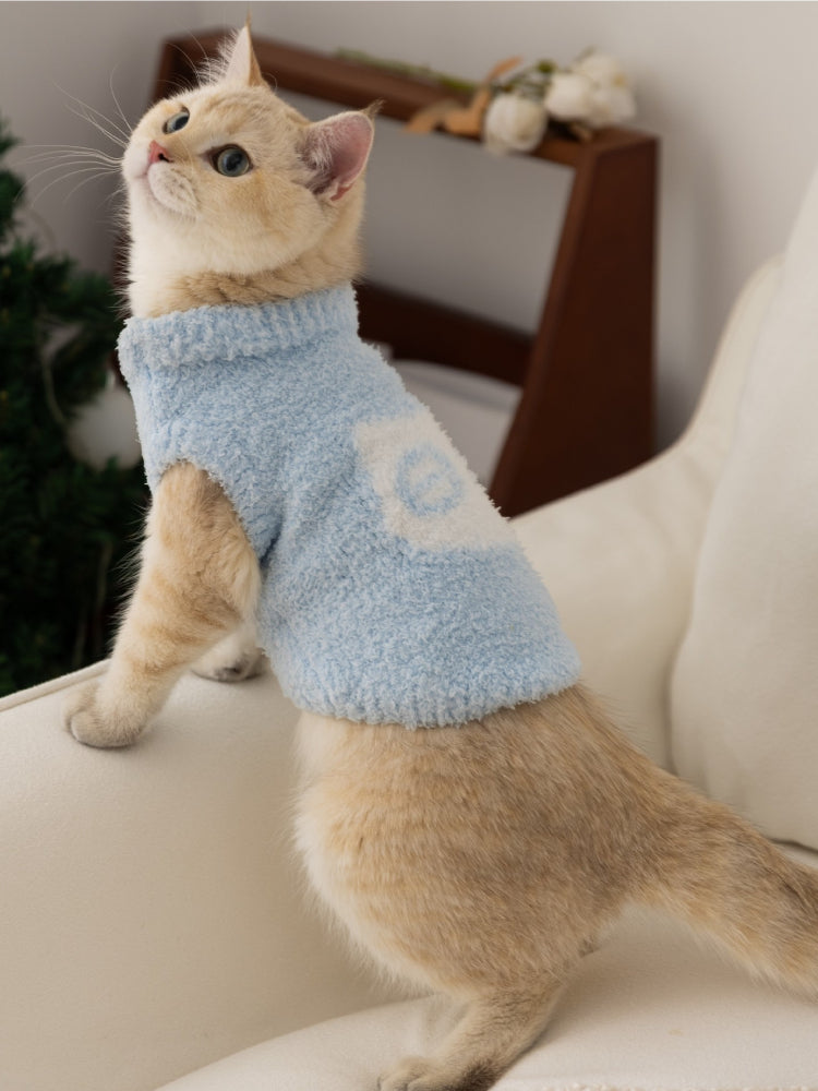 A cream-colored cat wearing a light blue fuzzy sweater is standing on a sofa, looking upwards.