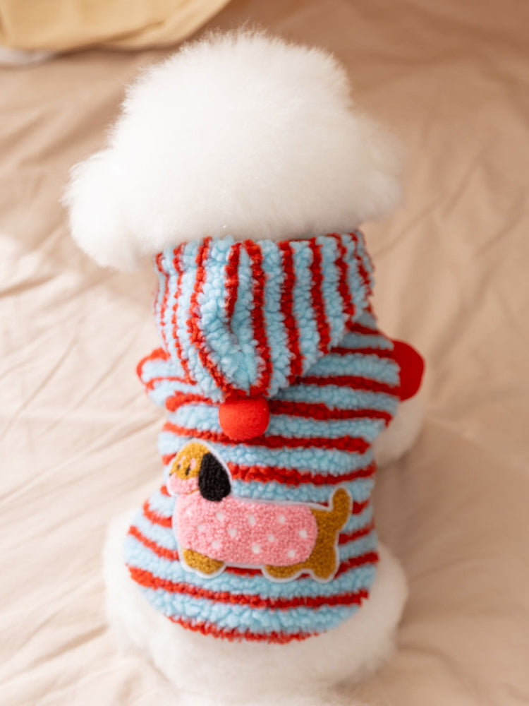 A white Bichon Frise dog wearing a blue and red striped hooded dog coat with a dachshund appliqué on the back.