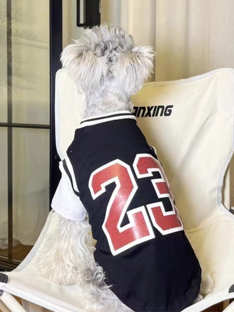 Rear view of a small white dog wearing a black and white basketball jersey with the number "23" prominently displayed on the back.