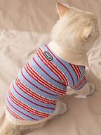 A white cat wearing a blue and red striped knit sweater, viewed from the back, showing the 'HIPIPET' tag.