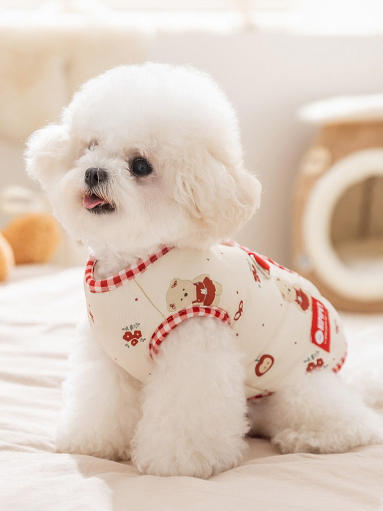 White poodle wearing a cream-colored dog vest with cartoon bears and red gingham trim