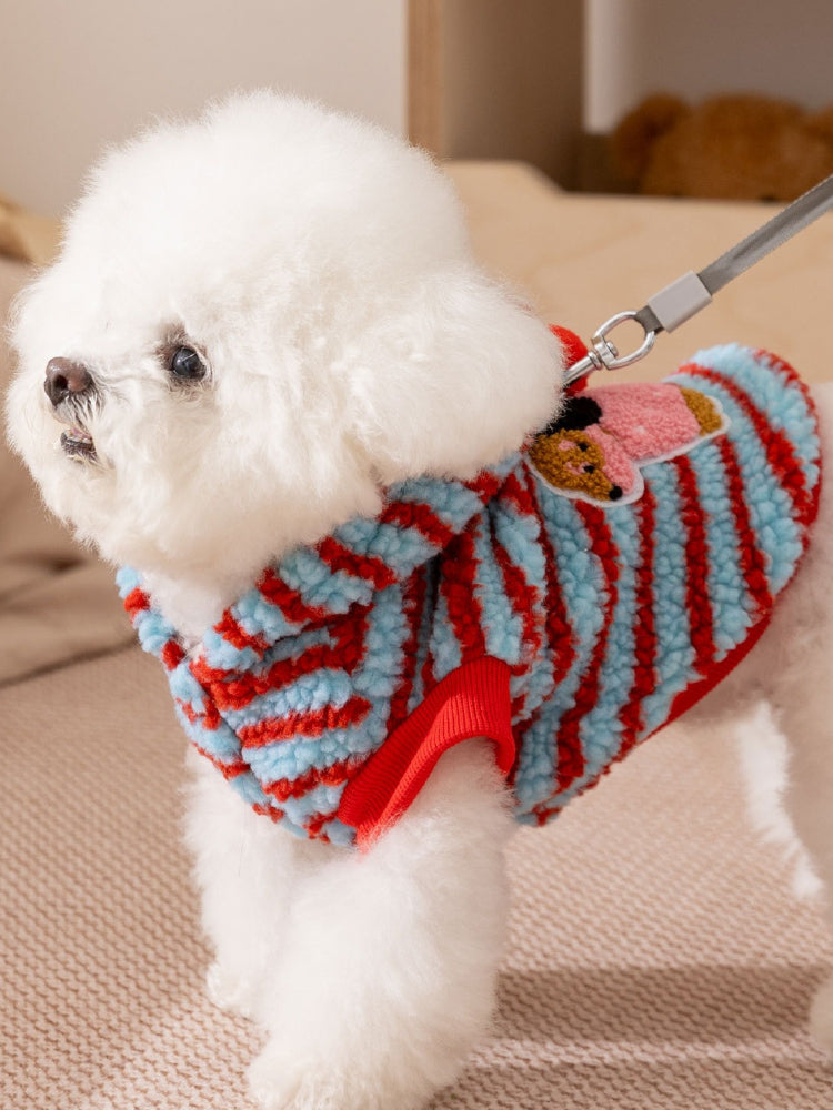 A white Bichon Frise dog wearing a blue and red striped hooded dog coat, facing left.