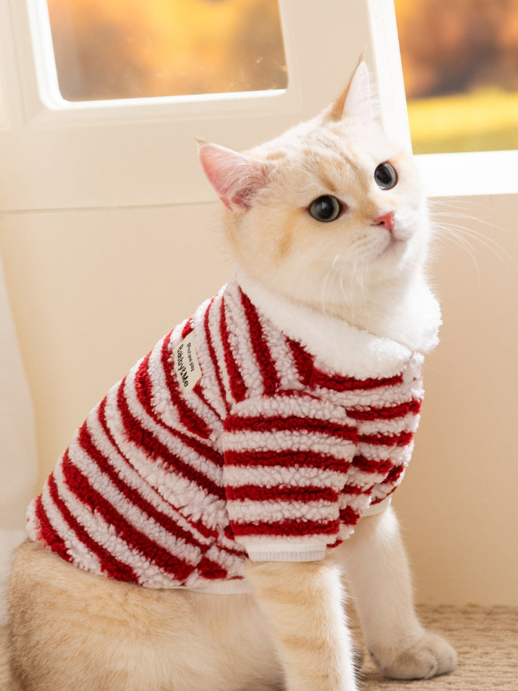 A cream-colored cat wearing a red and white striped fleece pet sweater with a white faux shearling collar, looking up and to the right.