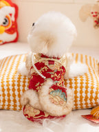The back view of a small white dog wearing a red and gold brocade coat with faux fur trim and pearl accents.