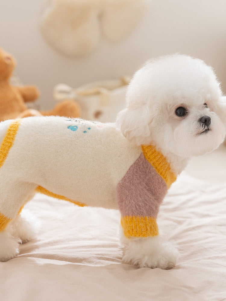 Side view of a white Bichon Frise dog wearing a color block sweater, standing on a bed.