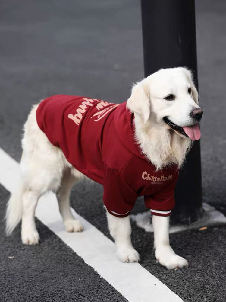 Golden Retriever dog wearing a burgundy hoodie outdoors, side view.