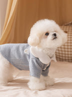A white Bichon Frise dog standing, wearing a light blue ribbed knit sweater with a white ruffled collar and a small embroidered bear motif on the chest.