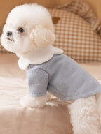 Side view of a white Bichon Frise dog wearing a light blue ribbed knit sweater with a white ruffled collar.