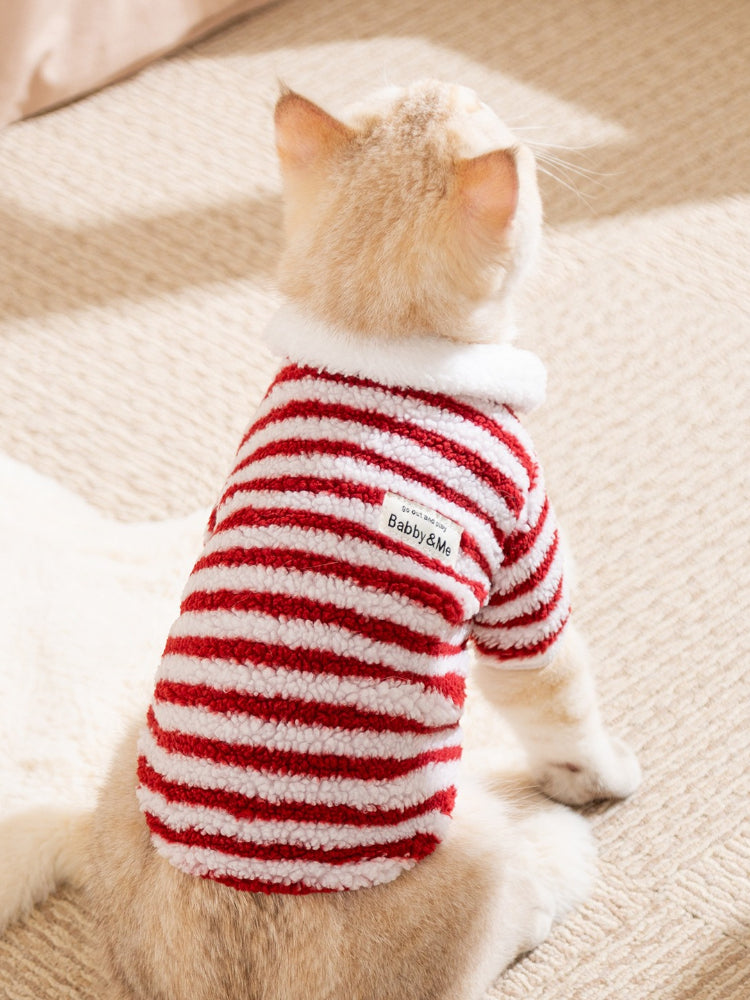 The back of a cream-colored cat wearing a red and white striped fleece pet sweater with a white faux shearling collar. A small label is visible on the sweater.