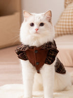 A white cat wearing a brown plaid dress with a ruffled collar.