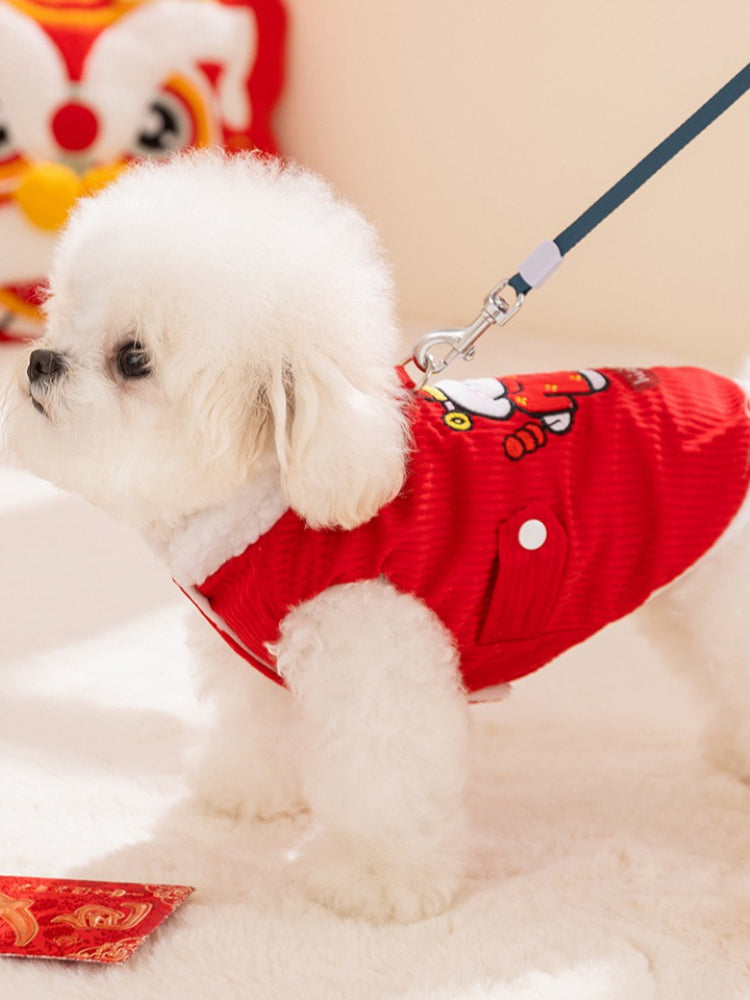Side view of a white fluffy dog wearing a red corduroy vest and attached leash