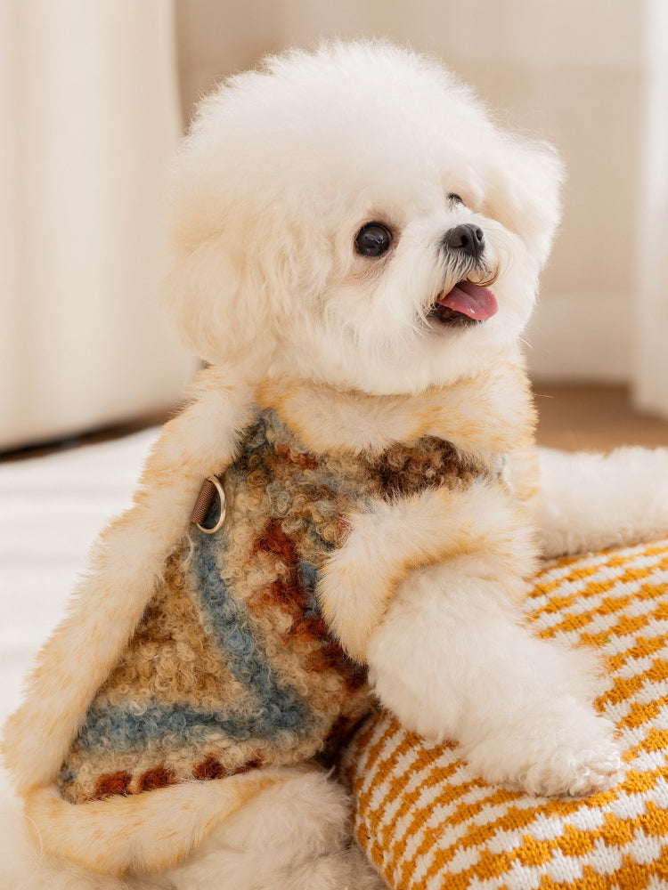 Side profile of a Bichon Frise dog in a cozy tweed vest with cream-colored faux fur edging.