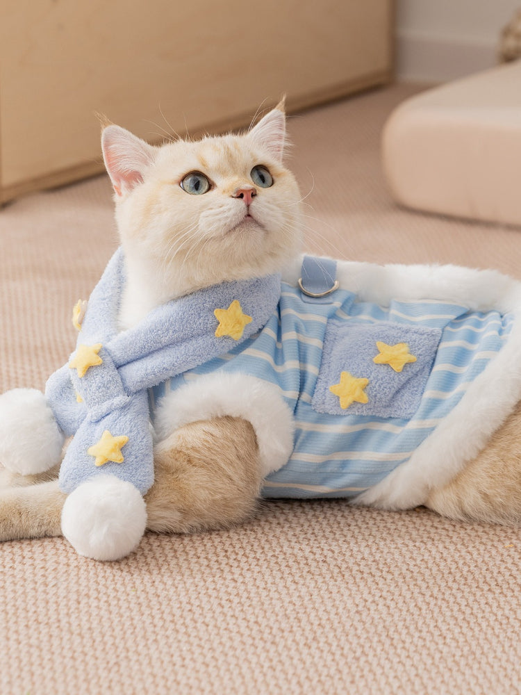 A cream-colored cat adorned in a light blue striped vest with white faux fur trim and yellow embroidered stars, complemented by a light blue scarf with stars and pom-poms, lying down.