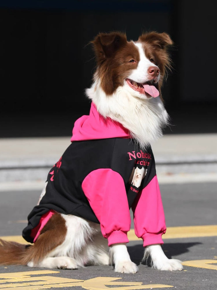 A brown and white Border Collie dog wearing a black and pink hooded sweatshirt with a graphic print on the back, sitting outdoors.