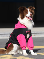 A brown and white Border Collie dog wearing a black and pink hooded sweatshirt with a graphic print on the back, sitting outdoors.
