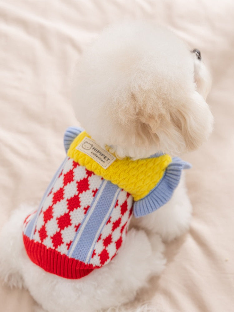 Back view of a white Bichon Frise wearing a yellow and blue knit dog sweater with argyle pattern.